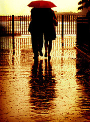 Couple's free online
                        bible courses - Couple walking in the rain