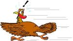 turkey running