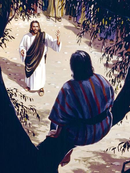 clipart jesus and zacchaeus - photo #29