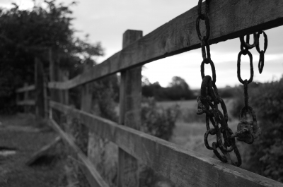 Chains by Nicholas Tarling