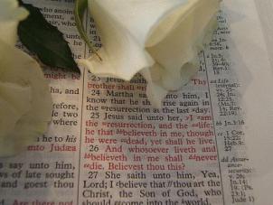 gible study rose and the word